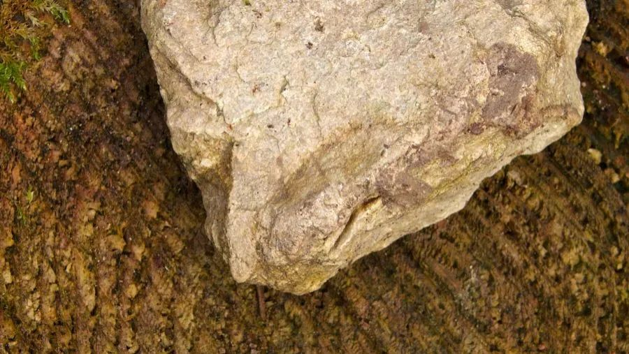 鎂資源的定價(jià)機(jī)制